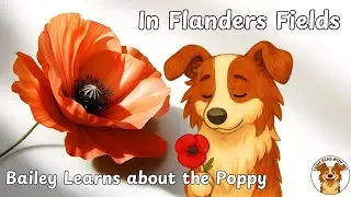 In Flanders Fields poem | Bailey and the Poppy: A Gentle Moment of Remembrance