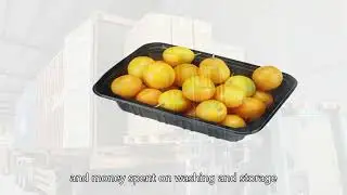 disposable plastic tray,disposable food container,Biodegradable food container,Cheap,China Seller