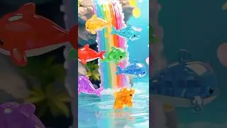 A Magical Rainbow Dolphin Parade #shorts