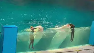 横浜八景島シーワールド2023