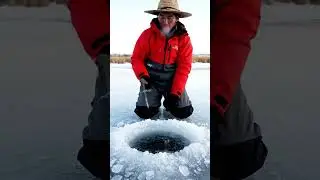 ice Fishing!🦈