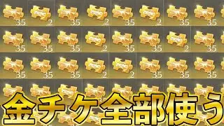 【荒野行動】総額400万!!金チケットを全部車スキン銃スキンに変えてみた【荒野の光】