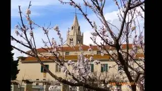 Finalpia in fiore