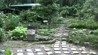 Birds & More: Malaysia & Borneo, 2008