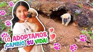NUEVA MASCOTA DEL BOSQUE🌳🐶¡Su Primer Día en La Ciudad!🌆