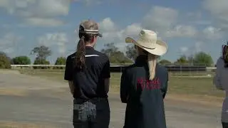 Kenmore Lodge preview - 2025 Magic Millions Horses In Training Sale
