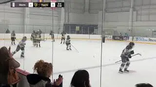 16uAA vs Houston Storm (NGHL Mile High Meltdown)