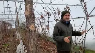Cateva idei pentru construirea unui solar rezistent