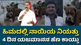 Himachal Dog guards the owner for 4 days in the snow. ಹಿಮದಲ್ಲಿ ಯಜಮಾನನ್ನು ಕಾದು ನಿಂತ ನಾಯಿ.