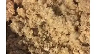 Lentil Kofta