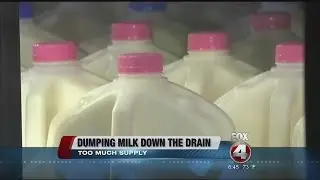 Dairy Farmers Dump Massive Amounts of Milk