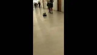 Robust Navigation In Hallways 2