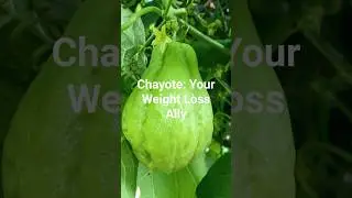 Chayote: The Secret Veggie for Weight Loss and Heart Health. #healthyliving.#shorts
