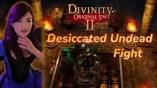 Luality Plays Divinity Original Sin 2 | Desiccated Undead Fight