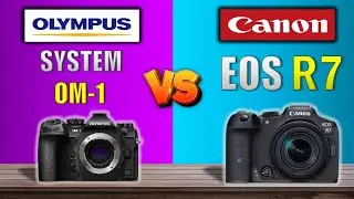 OLYMPUS SYSTEM OM-1 VS CANON EOS R7