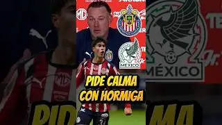 MILITO HABLA SOBRE HORMIGA GONZ&Aacute;LEZ #chivas #ligamx #futbol #viralshort