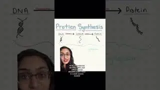 Does mRNA combine with DNA?
