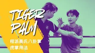 程派高氏八卦掌 / 虎掌用法 Gao style Bagua Palm Combat Application / Tiger Palm