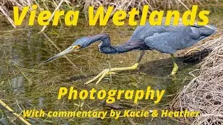 Viera Wetlands Photography with commentary by Kacie & Heather