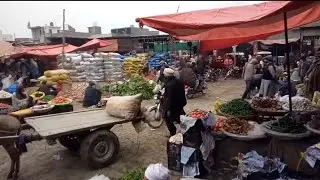 Today Narowal Sabzi Mandi Rates | Cheap Vegetable Prices in Punjab🤩🤩Shakargarh & Lahore👑market rates