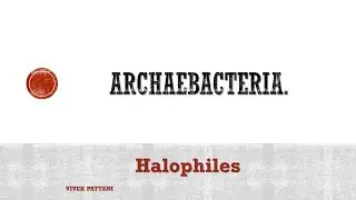 Archaebacteria Metabolism patterns.(halobacteria)