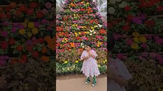 Jan26 special flower show in Lalbagh garden, Bangalore