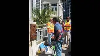 Manuel Carbonell's Florida, Fauna, on the Brickell Avenue Bridge gets a restoration