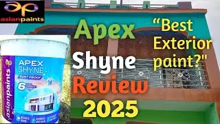 Asian Paints Apex Shyne Review, Exterior Paint Price, Shades, Finish & Durability 2025