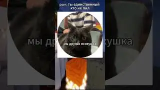 бедный кот #rofl #shorts #short #rofls