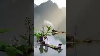 best morning scene of the river 💛 #trending #newshorts #shorts #soothingangel