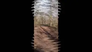 Sch&ouml;nholzer Heide 31032020
