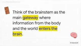 Towards an archaeology of attention: A neuro-genetic exploration