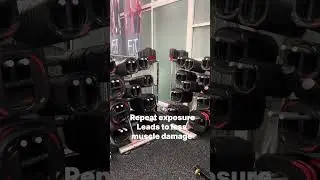 Less soreness doesnt mean less progress.#GymScience #FitnessFacts #ScienceBasedTraining #syntiFit