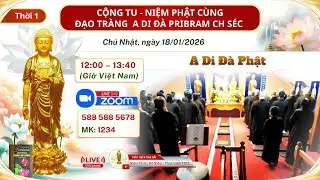 Cộng Tu Cùng Đạo Tràng A Di Đà Pribram CH Czech ngày 18/01/2026 (Thời 1)