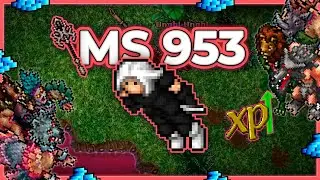 MS 953 Hunt Solo Ingol Surface 3.7kk/h Raw + 1.7kk Profit - Tibia Hunt [13.17] #tibia #tibiahunt