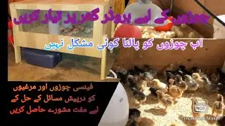 How to make Brooder at home.  Requirements for brooder.  Importance of brooder