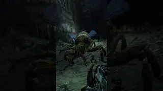 Hormiga reina de Shalebridge 👑🐜 #xbox #bethesda #fallout3