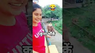 Hathi Chale Bazar Kutte Bhoke Hazar | Live | 😂 #hathi  #hathiraja #elephent