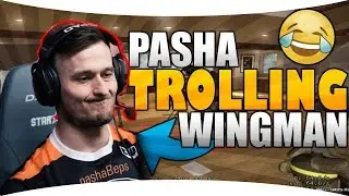 😂 Pasha trolluje na skrzydłowym! #Pasha #PashaBiceps #Wingman