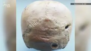 An Ancient Desert Climate Sparked Mass Violence for Primitive Man