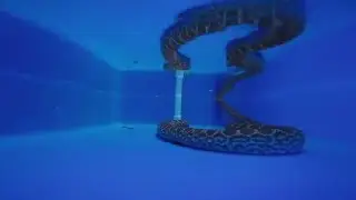 Underwater