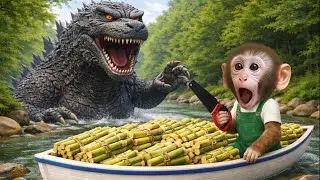 Bim Bim, driving a boat loaded with sugarcane, encounters a giant Godzilla dinosaur