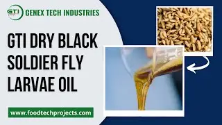 Dry Black Soldier Fly Larvae Oil Press | Industrial BSFL Machinery | Manufacturer in India