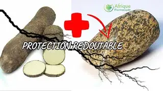 ASTUCE DE PROTECTION SPIRITUELLE AVEC LA PIERRE DE TONNERRE