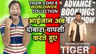 Tiger 3 Day 8 Collection | Tiger 3 Day 8 Collection Worldwide Collection | Salman Khan