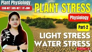 Plant Stress (Part 2) | Light Stress | Water Stress | Drought Stress | Abiotic | CSIR-NET | ARS NET