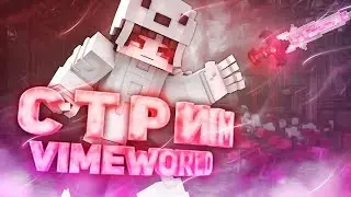МАЙНКРАФТ СТРИМ ВАЙМ ВОРЛД VIMEWORLD БЕСПЛАТНОЕ ПАТИ ОБЩЕНИЕ