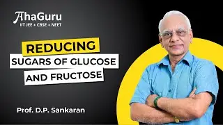 Reducing Sugars in Glucose & Fructose | Class 12 Chemistry | JEE | CBSE | NEET
