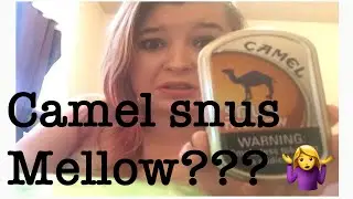 Camel snus mellow review