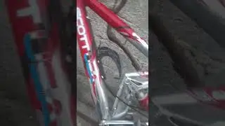 scott USA mtb#short